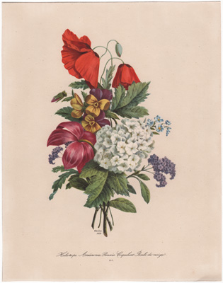 [Heliotrope, Anemones, Pansies, Poppies, Snowball]